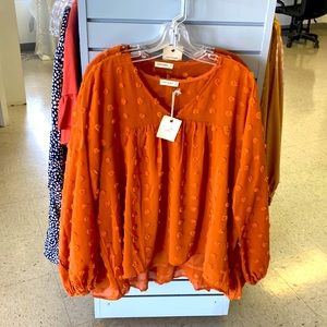 All the way brand top. Long sleeve sheer material